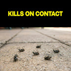 Raid Multi Insect Killer, Orange Breeze Scent, Kills Ants, Roaches, Spiders And Other Insects On Contact For Indoor And Outdoor Use - 15 Oz