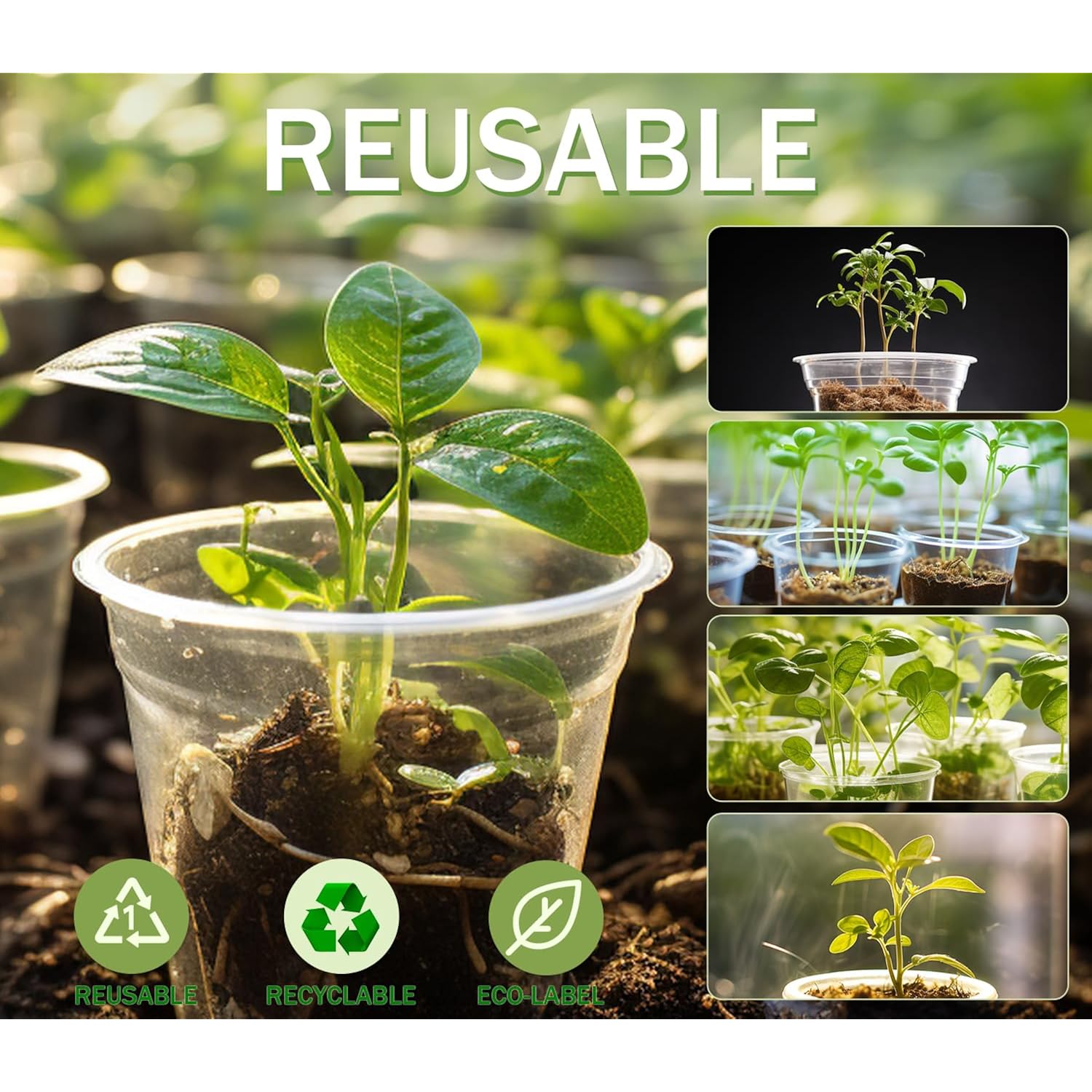 30 Pack Clear Nursery Plant Pots, 3.5/4/5 In With Drainage Holes, 20 Labels | High Transparency (Clear View Of Root Growth), Variety Pack, Good Drainage, 20 Pack Easy-Id Plant Labels
