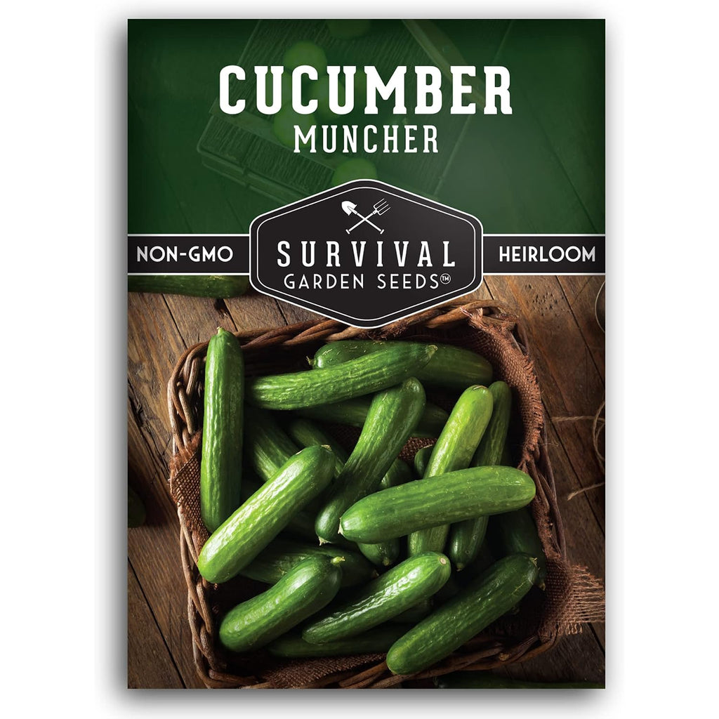 Muncher Cucumber Seeds For Planting - Low-Acid Slicing Cucumbers (1 Pack) | Burpless Heirloom Variety With Smooth Skin - Summer Crop For Gardens And Containers - Survival Garden Seeds