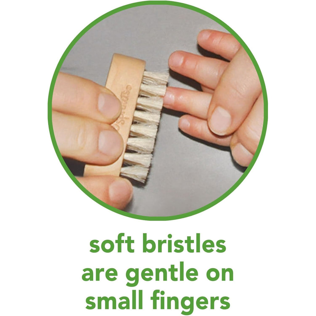 green sprouts Nail Brush