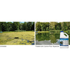 Cutrine-Plus Liquid Algaecide - 1 Gallon Epa-Approved Copper Formula For Fast Control Of Planktonic, Filamentous And Chara Algae - Professional-Grade For Ponds, Lakes, Hatcheries & Irrigation Systems