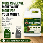 Natural Armor Weed And Grass Killer All-Natural Concentrated Formula. Contains No Glyphosate (128 Oz. Gallon)
