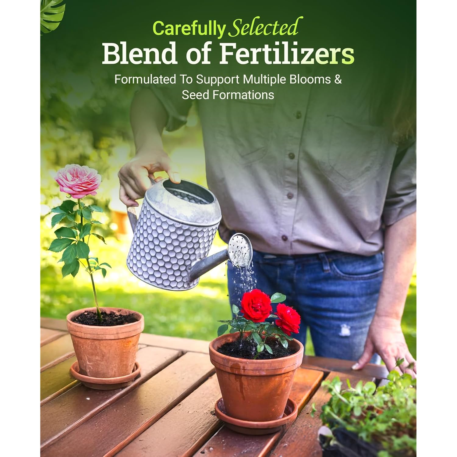 Fox Farm Big Bloom Liquid Plant Food - Organic Bloom Fertilizer For Flowering & Fruiting Plants, Contains Earthworm Castings & Bat Guano - Supports All Stages Of Plant Growth - 0-0.5-0.7 Npk, 1 Pint
