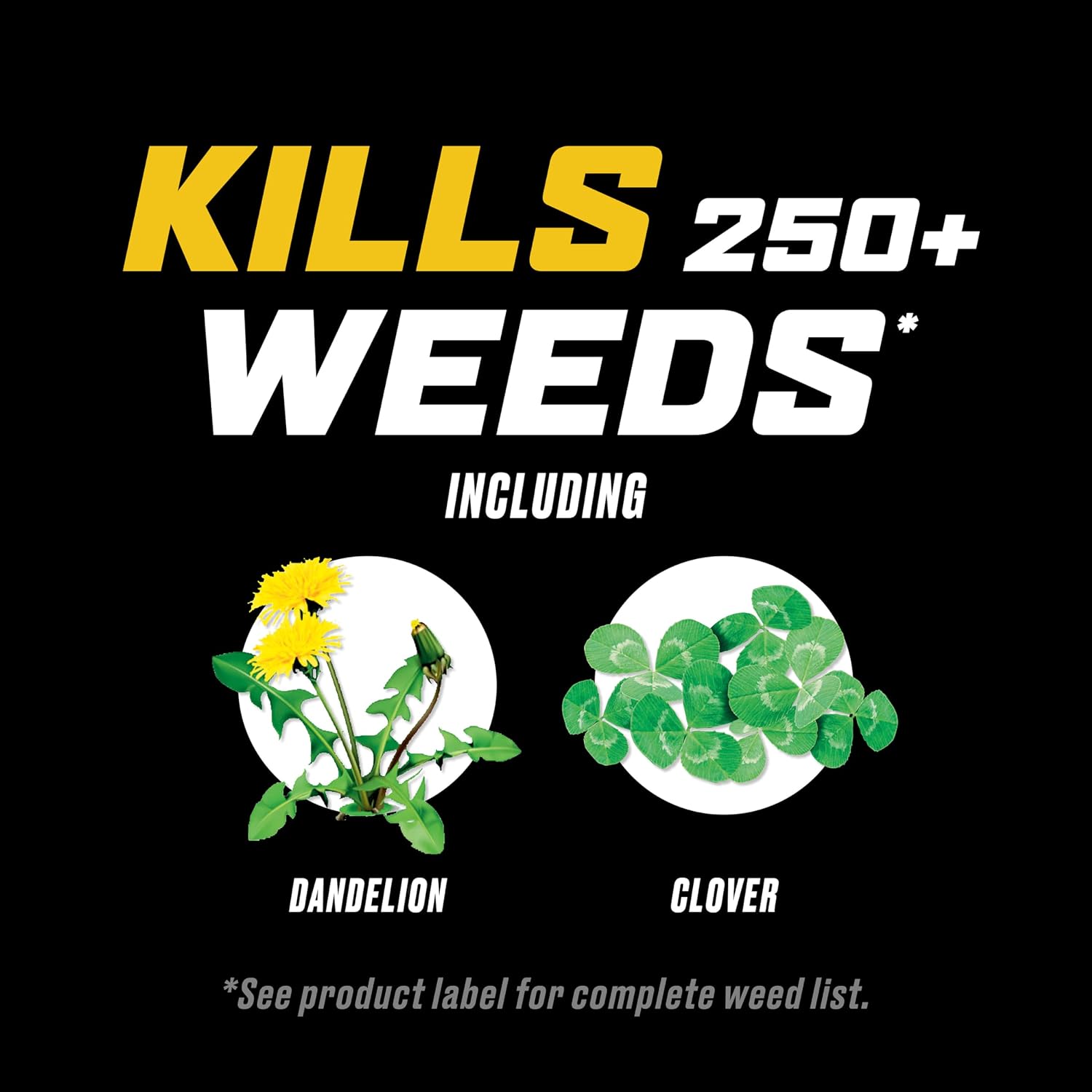 Ortho Weedclear Weed Killer For Lawns With Comfort Wand, 1 Gal. | Lawn Weed Killer Spray, Won'T Harm Grass When Used As Directed, Kills Over 250 Listed Weeds Including Dandelion And Clover