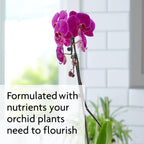 Miracle-Gro Orchid Plant Food Spikes - Indoor Plant Fertilizer Sticks For Potted Orchids, Feeds For Up To 2 Months, 10 Spikes