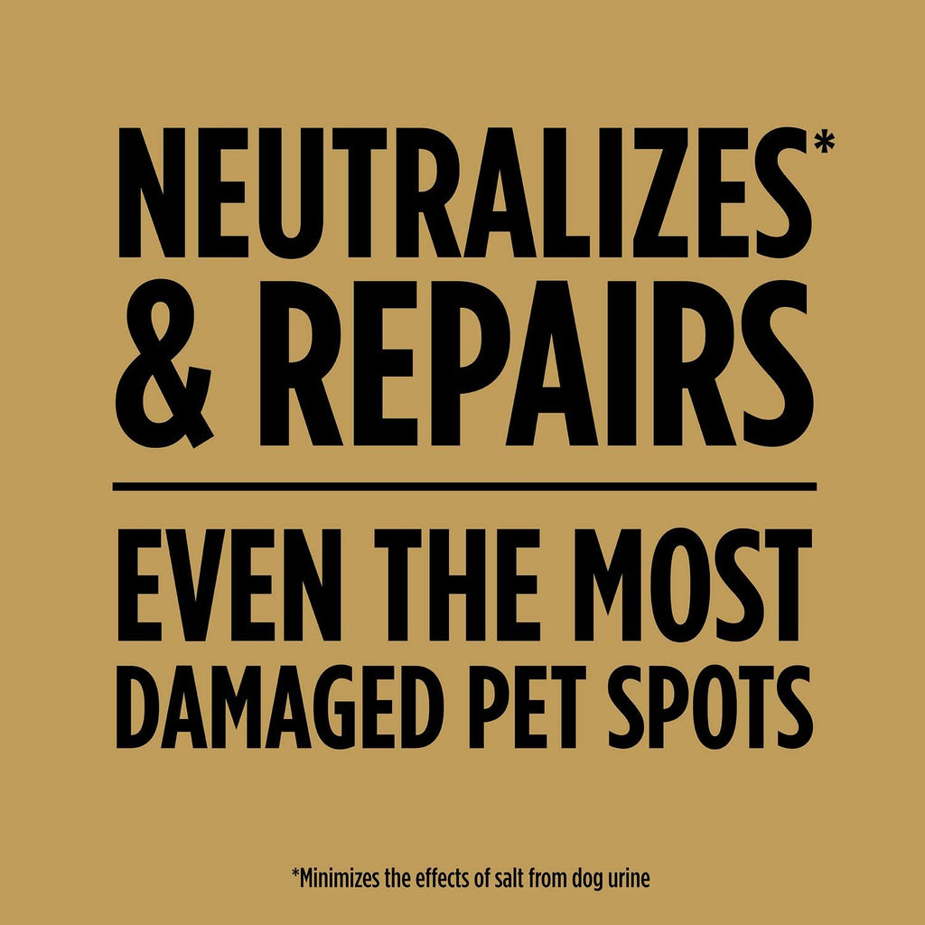 Scotts Ez Seed Dog Spot Repair Sun And Shade, 2 Lbs. | Combination Mulch, Grass Seed Mix And Soil Amendment To Neutralize And Repair Pet Spots
