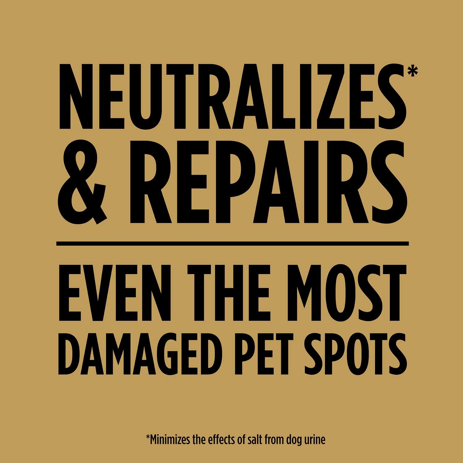 Scotts Ez Seed Dog Spot Repair Sun And Shade, 2 Lbs. | Combination Mulch, Grass Seed Mix And Soil Amendment To Neutralize And Repair Pet Spots