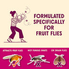 Aunt Fannie'S Flypunch Fruit Fly Trap For Indoor And Kitchen Use, Ready To Use, Made With Plant Based Ingredients, Safe Near Food, Each Bottle Lasts Up To 30 Days, Pack Of 1