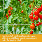 Sukh Trellis Netting For Climbing Plants - 5 X 15 Ft Garden Net, 2 Pack | Polyester Plant Netting Support For Cucumbers & Tomato, Soft & Duarable, White Garden Nets For Vines, Vegetables & Fruits