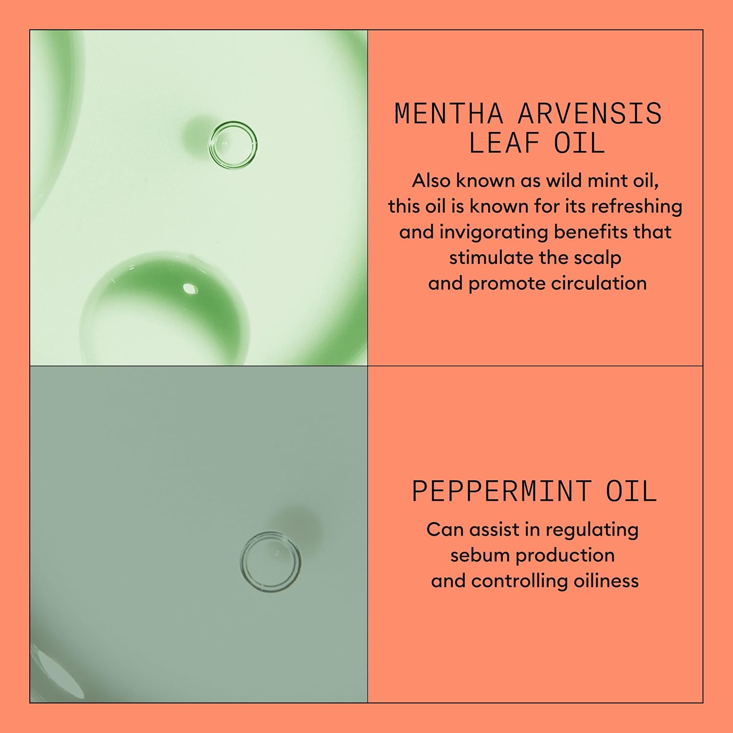 Nioxin System 4 Scalp + Hair Thickening Conditioner For Colored, Dry, & Damaged Hair With Progressed Thinning Maintain Vibrant Color Nourish & Boost Hair Density With Niacinamide & Biotin
