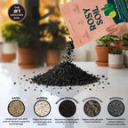 Rosy Soil Cactus & Succulent Potting Mix, 4 Quarts | Organic Succulent Potting Soil, Chunky Fast Draining, Peat-Free, Root Boosting Mix, For Aloevera, Cacti, Indoor Succulents