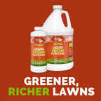 Chelated Liquid Iron – Bloom City Organic Iron Supplement For Lawns & Plants – 8 Oz