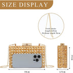Goktow Rattan Acrylic Bag Clutch Purse Evening Bag Woven Handbag Summer Beach Purse