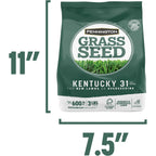 Pennington Kentucky 31 Fescue 3 Lb Tall Fescue Grass Seed, Grass Seeds For Lawn
