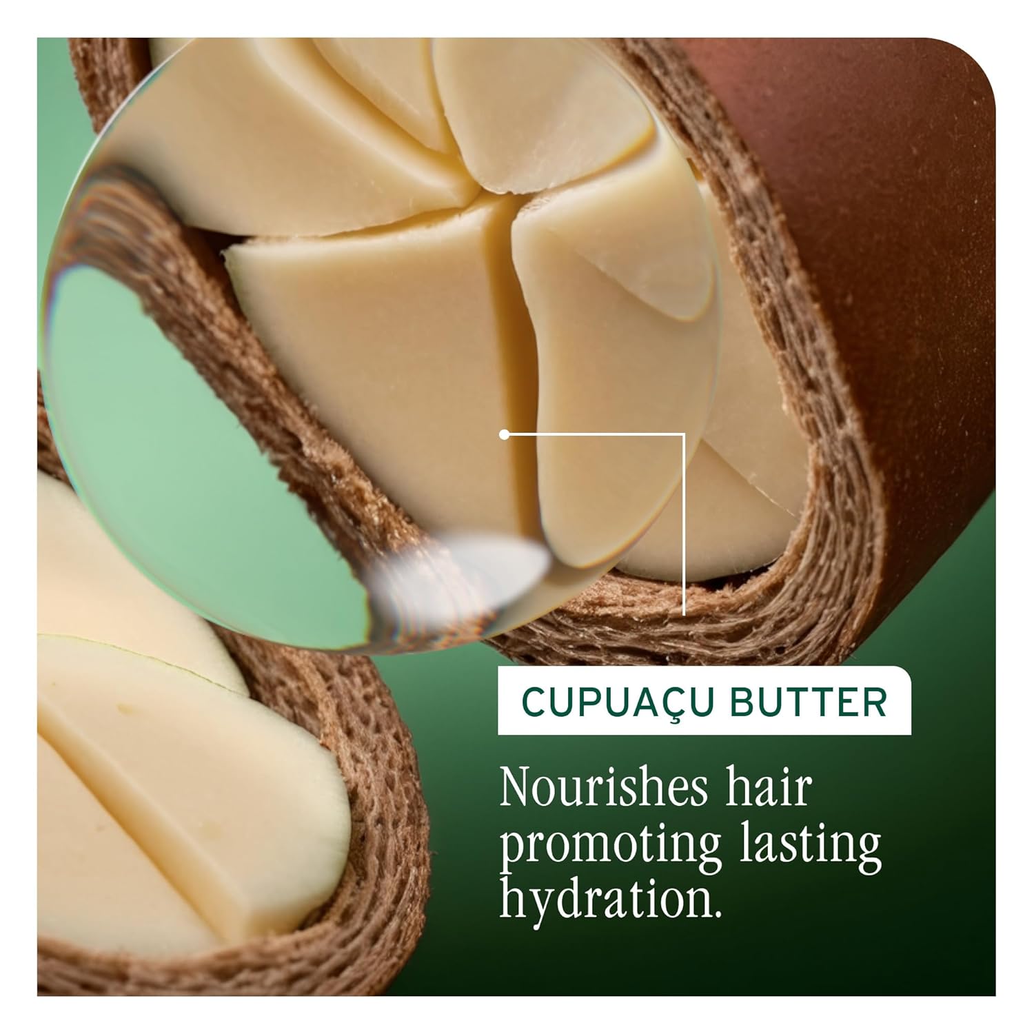 Biolage Ultra Hydra Source Conditioner - Intensely Condition, For Very Dry, Thick, Coarse Hair, Infused with Micro-dosed with Cupuaçu Butter & Salicylic Acid