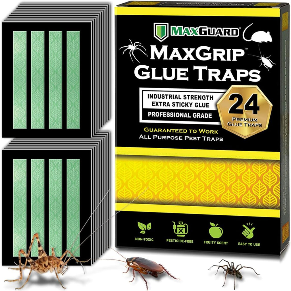 Maxguard Maxgrip Glue Traps (24 Traps) Non-Toxic Extra Sticky Glue Board Pre-Baited With Fruity Scent Attractant Trap & Kill Insects, Bugs, Spiders, Crickets, Scorpions, Cockroaches, Centipedes, Mice