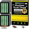 Maxguard Maxgrip Glue Traps (24 Traps) Non-Toxic Extra Sticky Glue Board Pre-Baited With Fruity Scent Attractant Trap & Kill Insects, Bugs, Spiders, Crickets, Scorpions, Cockroaches, Centipedes, Mice
