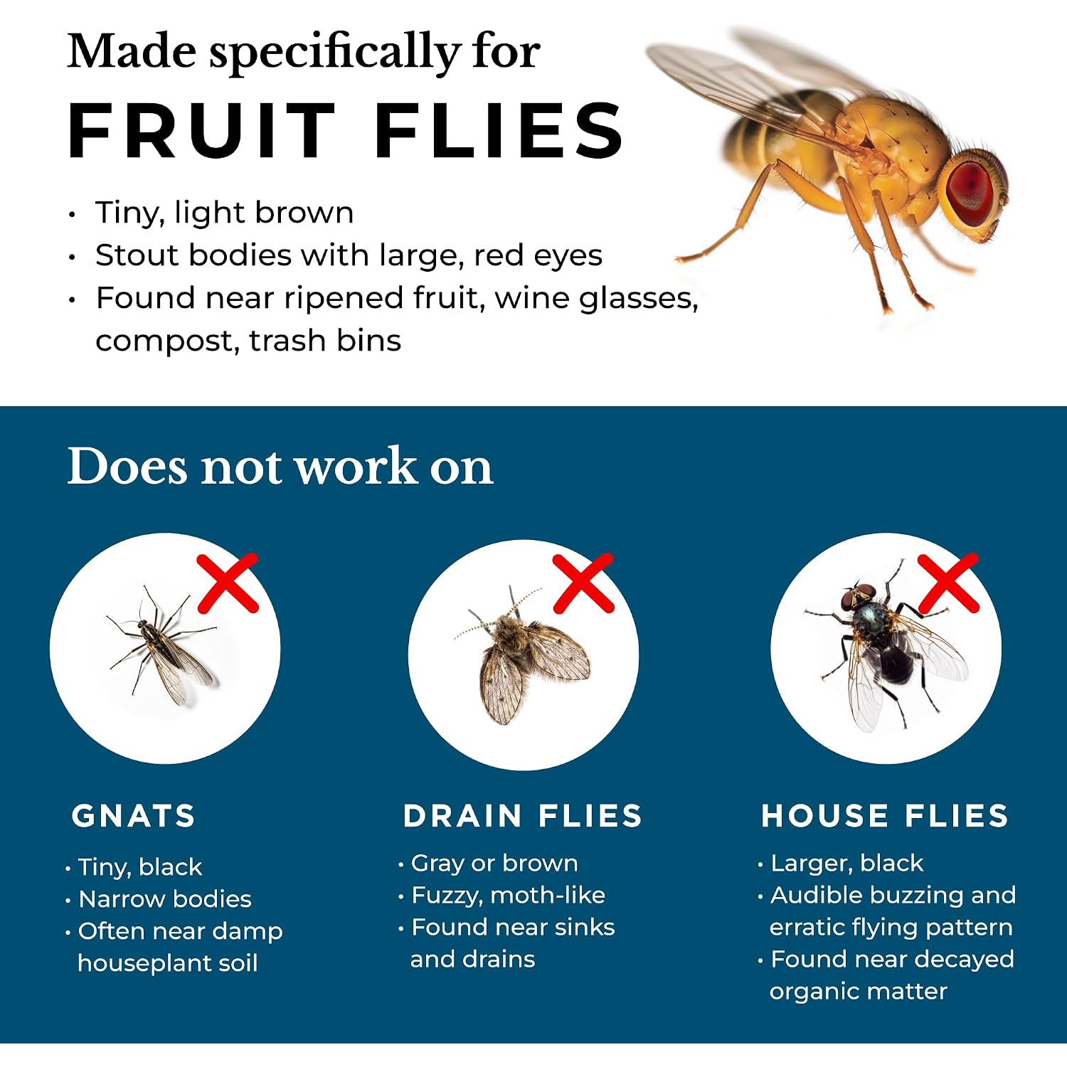 Wondercide - Fruit Fly Traps For Indoors - 5.4 Oz, 2 Pack | Trap For Kitchen, Home, And Indoor Areas - Killer Of Fruit Flies - Made In Usa & Plant Powered
