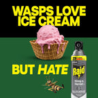 Raid Wasp & Hornet Killer Spray, Kills The Entire Nest, For Paper Wasps, Yellow Jackets, Mud Daubers, And More, 17.5 Oz