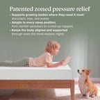 Zinus 6 Inch Twin Green Tea Memory Foam Mattress [New Version], Fiberglass Free, Medium Firm Feel, Zoned Pressure Relief, Certified Safe Foams & Fabric, Mattress in A Box