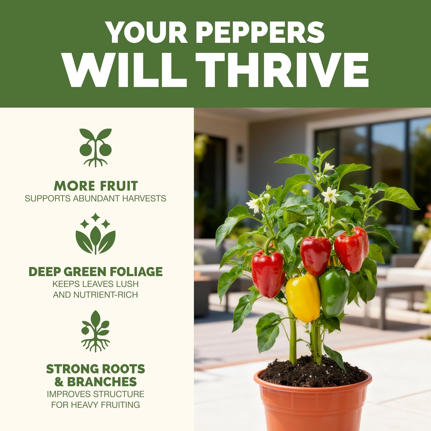 Pepper Fertilizer – Liquid Plant Food For Bigger Harvests, Better Flowering & Stronger Root Development, 8 Oz