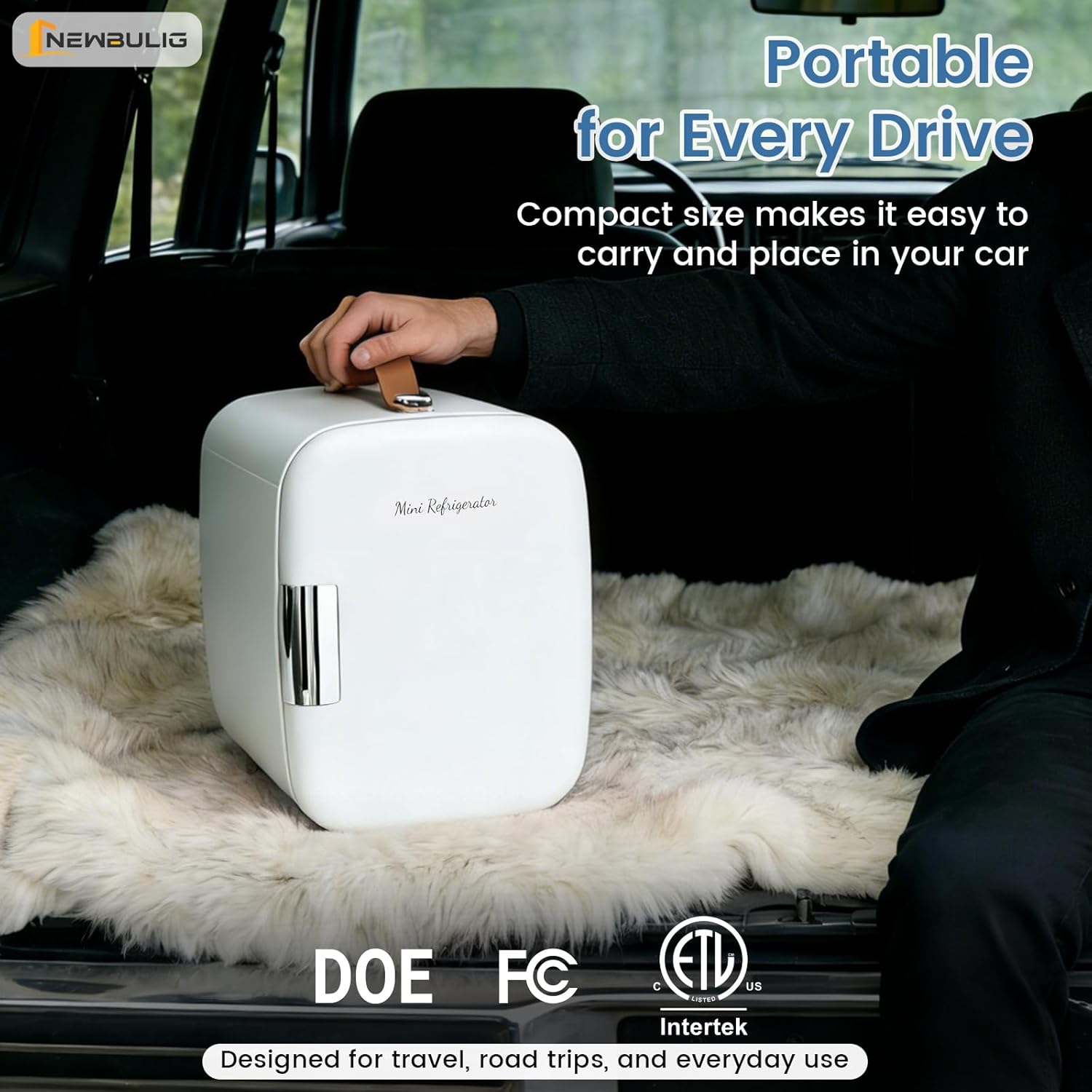 NEWBULIG Mini Fridge for Bedroom, Office & Car, Portable 4L/4.23QT Mini Refrigerator for Skincare with Handle, Ultra-Quiet Energy-Saving Compact Cooler for Drinks, Food, Skincare & Makeup, 12V AC/DC