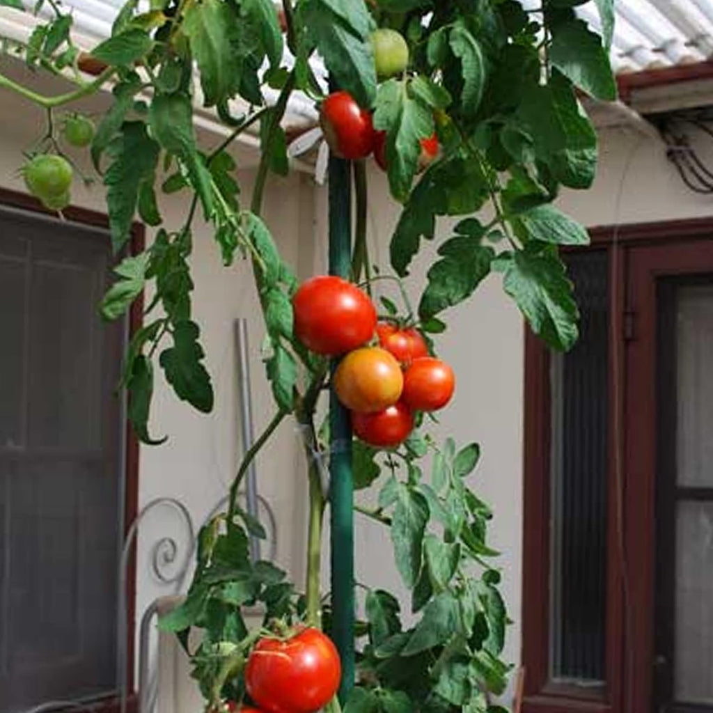 Garden Stakes, 25 Pack Steel Plant Garden Tomato Stakes With Plastic Coat For Climbing Plants (25 Pack 58 Inch)