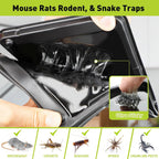 Pelrayt Glue Mouse Traps Indoor For Home, Rat Trap-12 Pack, Large Heavy Duty Glue Traps For Safe Home Pest Control. Pre-Scented, Non-Toxic Sticky Boards For Mice, Rats & More. Easy To Use