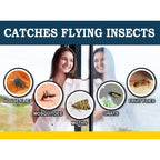 Maxguard Window Fly Traps (24 Xl Traps) Catch & Kill Houseflies, Flying Insects & Bugs. Non-Toxic Sticky Glue Traps Fly Killer Clear Strip Insect Catcher Safe No Zapping With Zapper |