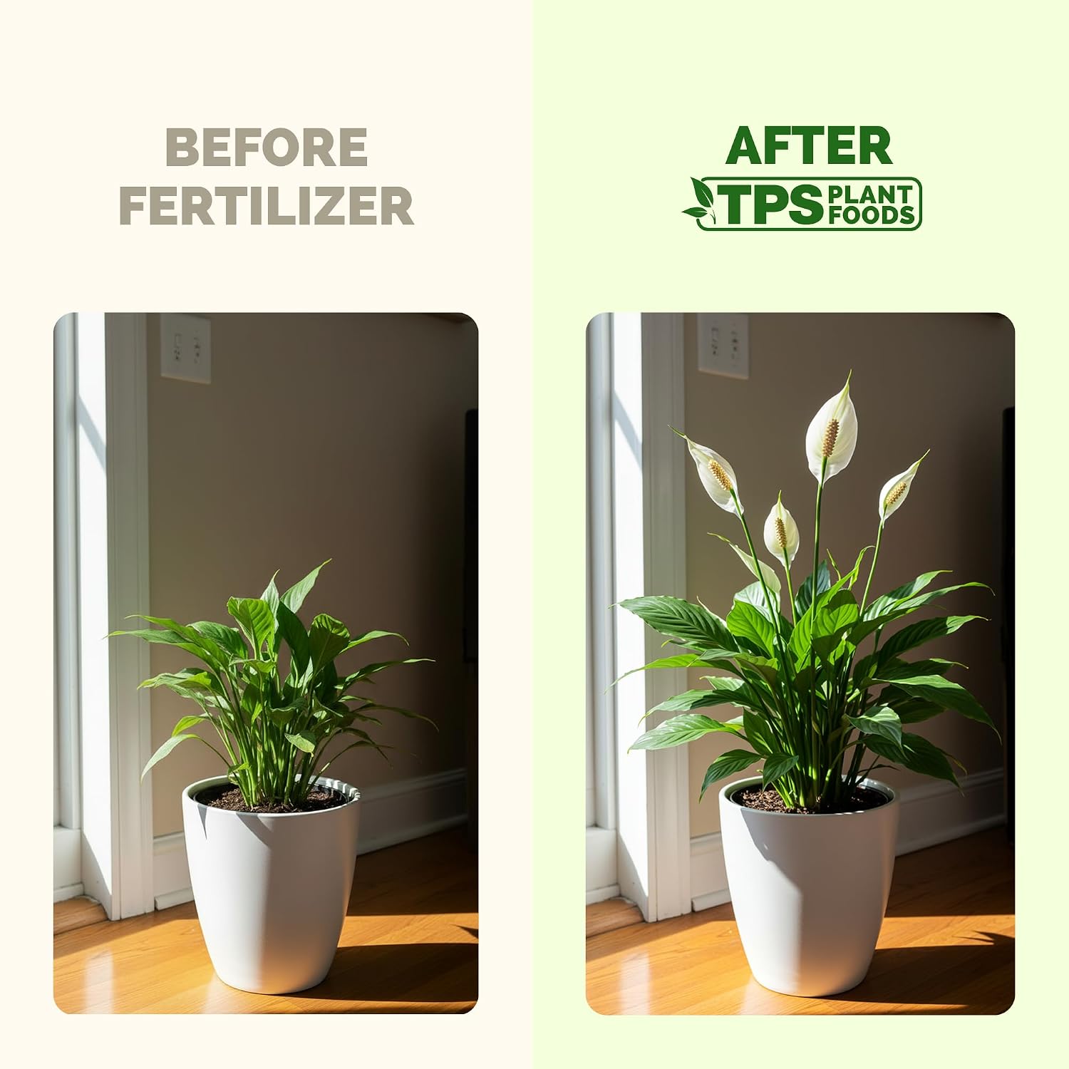 Peace Lily Fertilizer – Liquid Plant Food For More Blooms, Deep Green Leaves & Healthy Root Development, 8 Oz