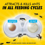 Combat Max 2 In 1 Ant Bait Station, 4 Count
