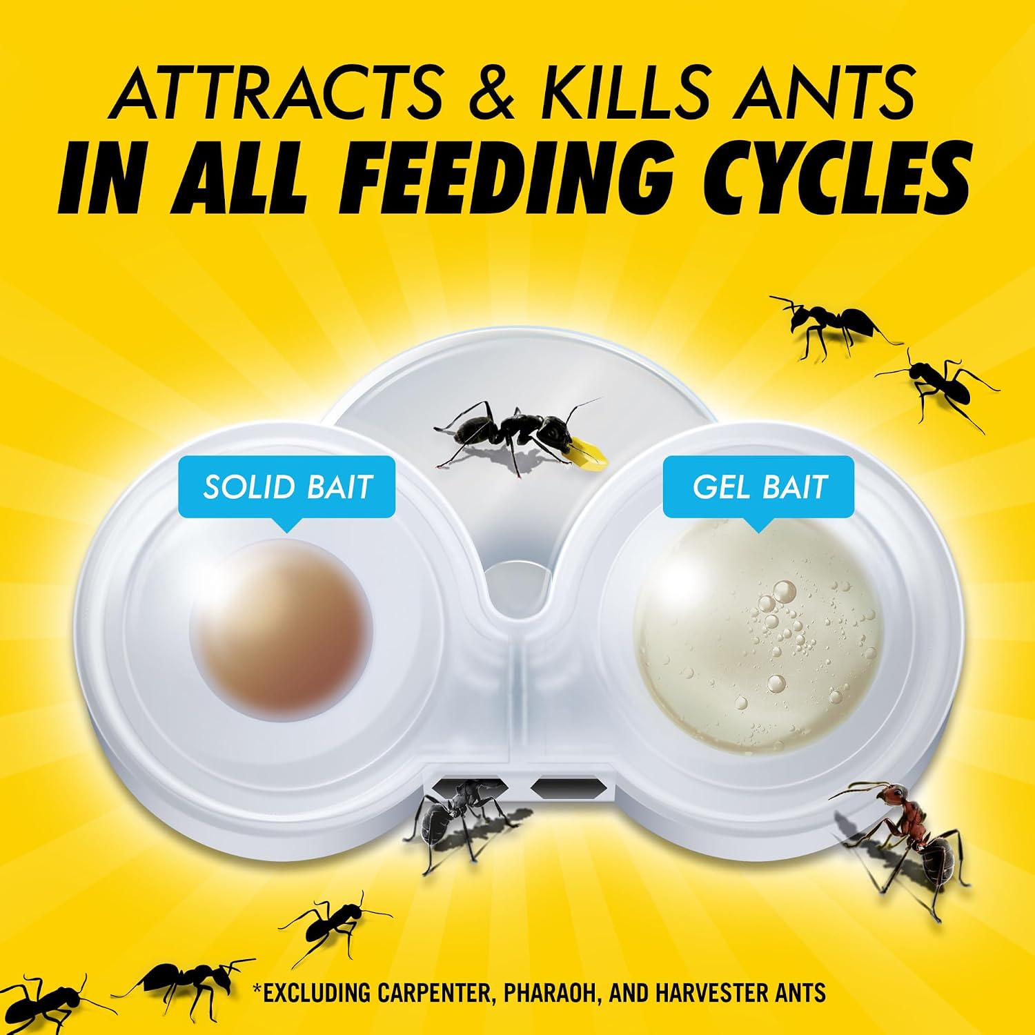 Combat Max 2 In 1 Ant Bait Station, 4 Count