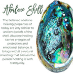 sedmart Tear Drop Abalone Shell Pendent Necklace Wire Wrap Abalone Shell Tree of Life Pendant Necklace Fashion Necklace Jewelry for Women handmade necklace mothers day necklace for mom jewelry