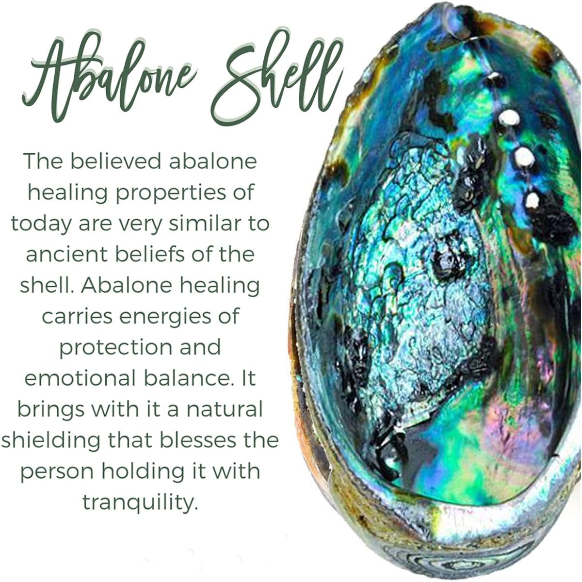 sedmart Tear Drop Abalone Shell Pendent Necklace Wire Wrap Abalone Shell Tree of Life Pendant Necklace Fashion Necklace Jewelry for Women handmade necklace mothers day necklace for mom jewelry
