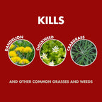 Spectracide Weed & Grass Killer, 1.33 Gallons, With Accushot Continuous Power Sprayer Kills Broadleaf Weeds And Grasses Down To The Root, Rainproof In 15 Minutes With Visible Results In 3 Hours