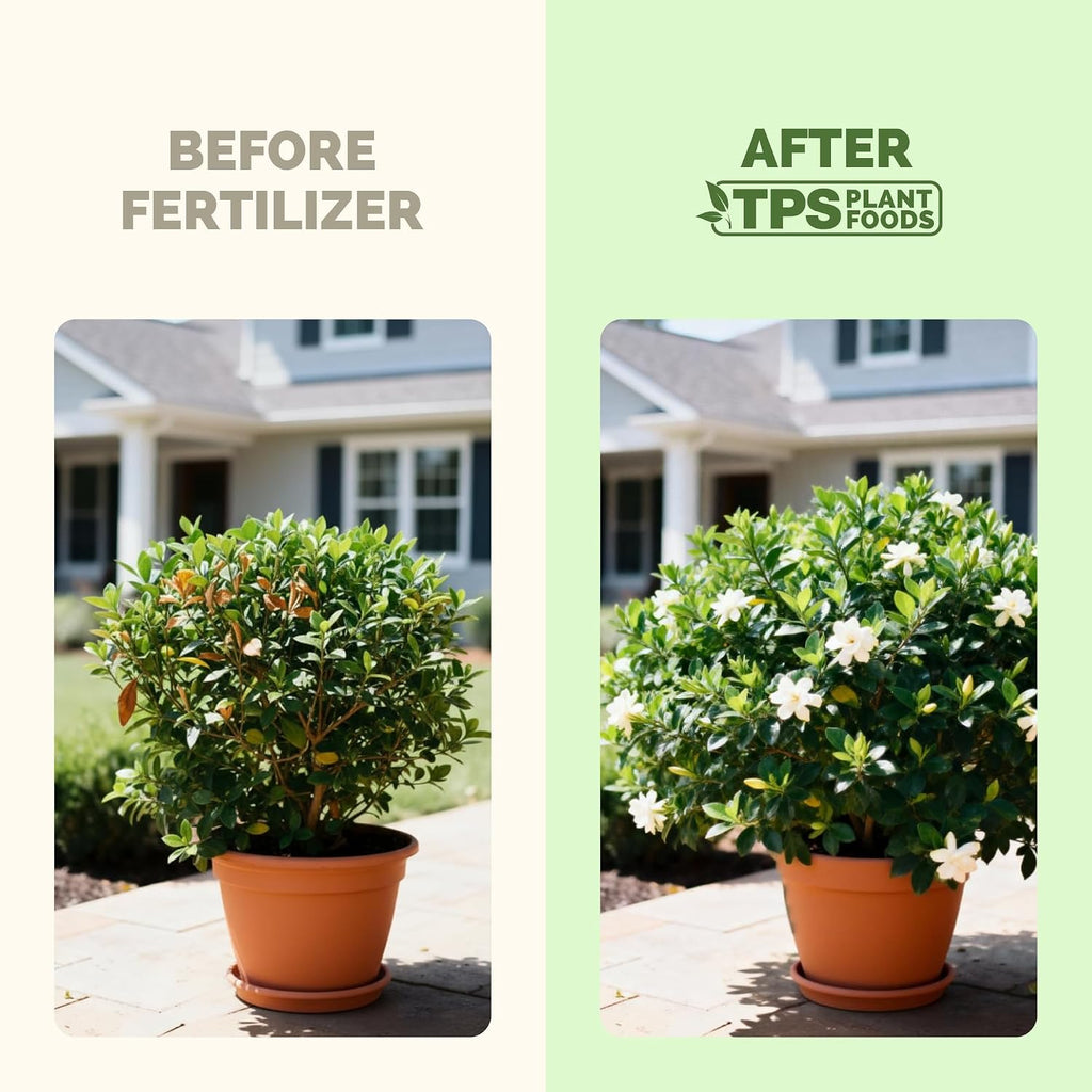 Gardenia Fertilizer – Liquid Plant Food For More Blooms, Rich Green Leaves & Stronger Root Development, 8 Oz