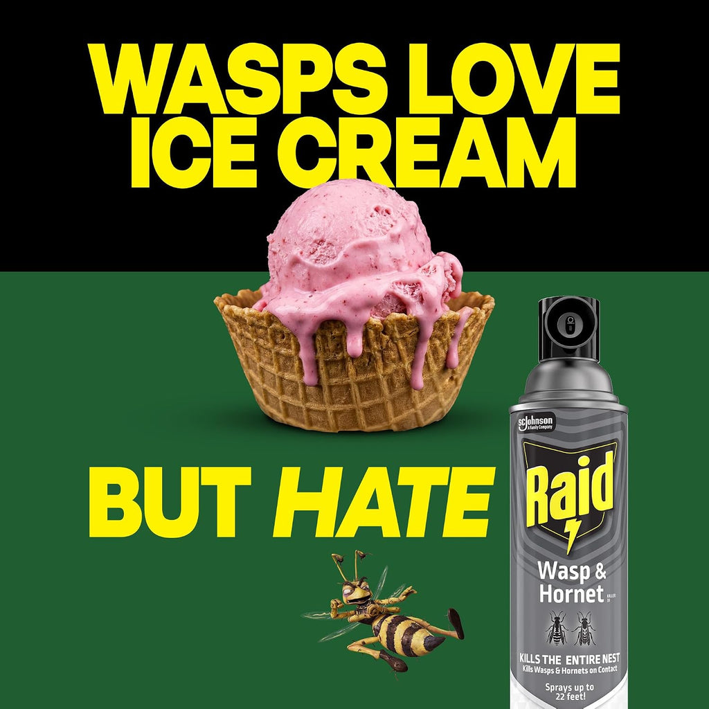 Raid Wasp & Hornet Killer Spray, Bug Killer, Wasp And Hornet Spray Kills The Entire Nest, 14 Oz, 2 Count