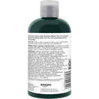 Amazon Basics Tea Tree Oil Shampoo for Hair, with Peppermint, 10.14 fl oz, Pack of 1