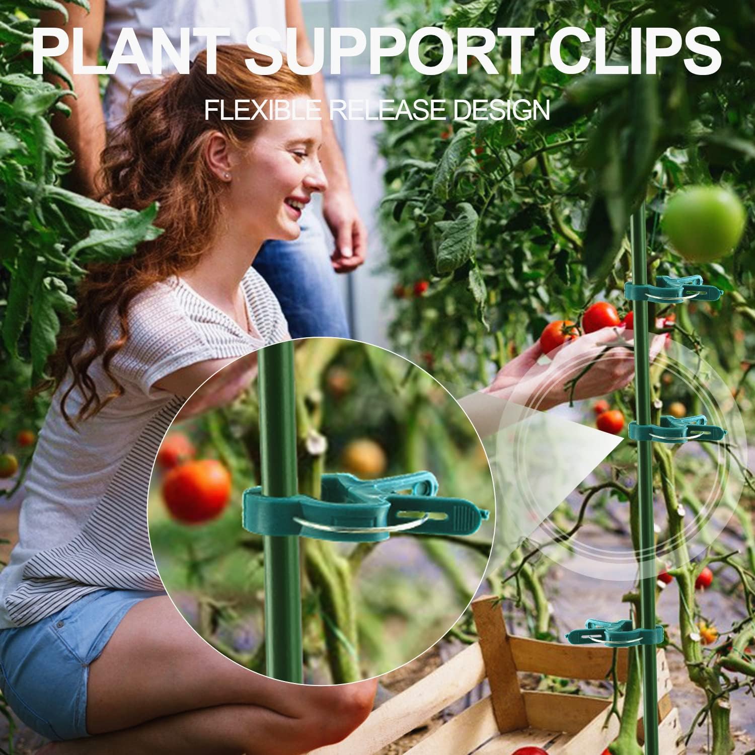 Yinghezu 40 Pcs Plant Support Clips,Flower And Vine,Garden Tomato Plant Support Clips For Supporting Stems,Vines Grow Upright Climbing,Tool For Straightening,Tomato Cage,Trellis. 2 Sizes In One Pack