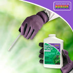 Bonide Sucker Punch Knock Out Sprouts 8 Oz | Ready-To-Use With Applicator, Stop Sprouting From Roots And Pruning Cuts