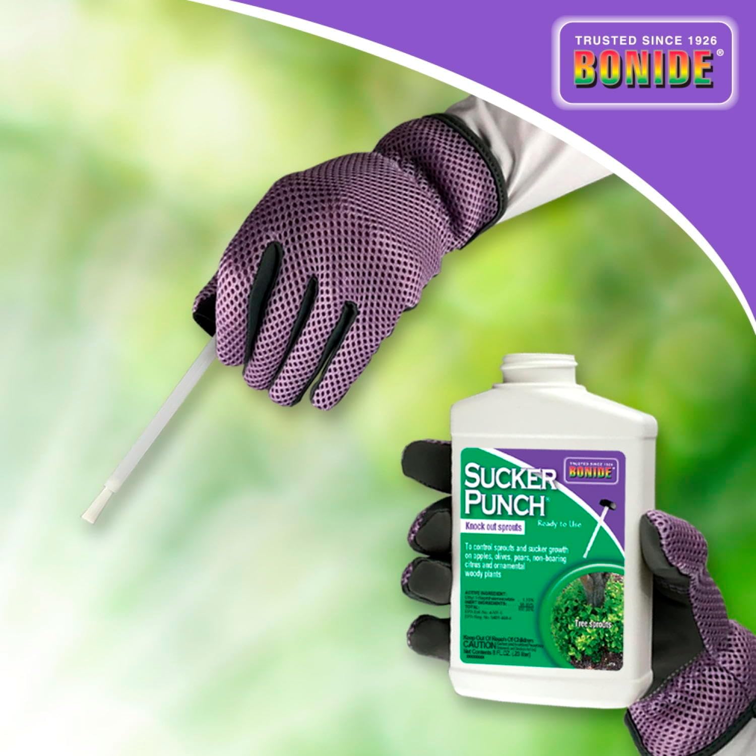 Bonide Sucker Punch Knock Out Sprouts 8 Oz | Ready-To-Use With Applicator, Stop Sprouting From Roots And Pruning Cuts