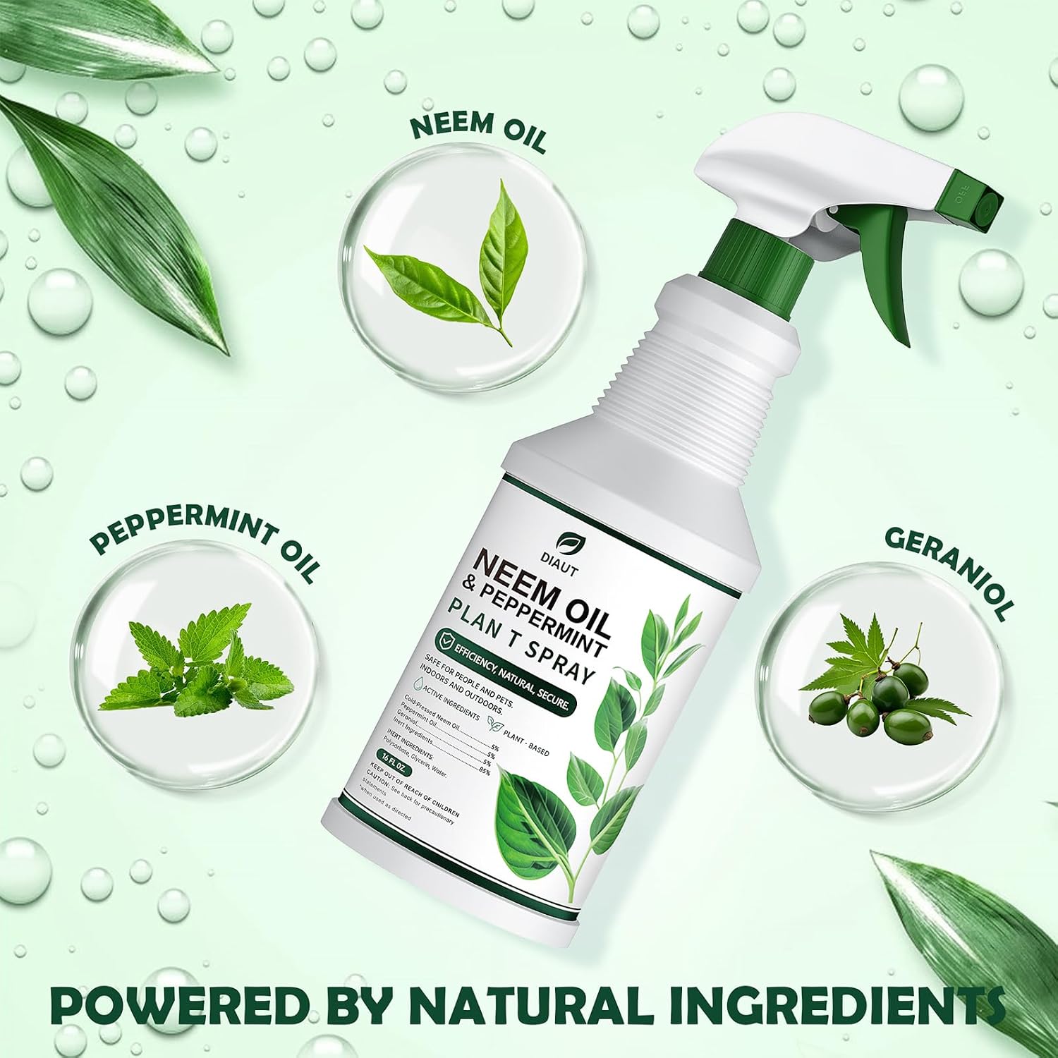 Neem Oil Spray For Plants With Peppermint Oil, Easy Ready To Use Natural Plant Wash And Foliage Care For Indoor And Outdoor Plants, Gardens, Houseplants & Vegetables, 16 Oz