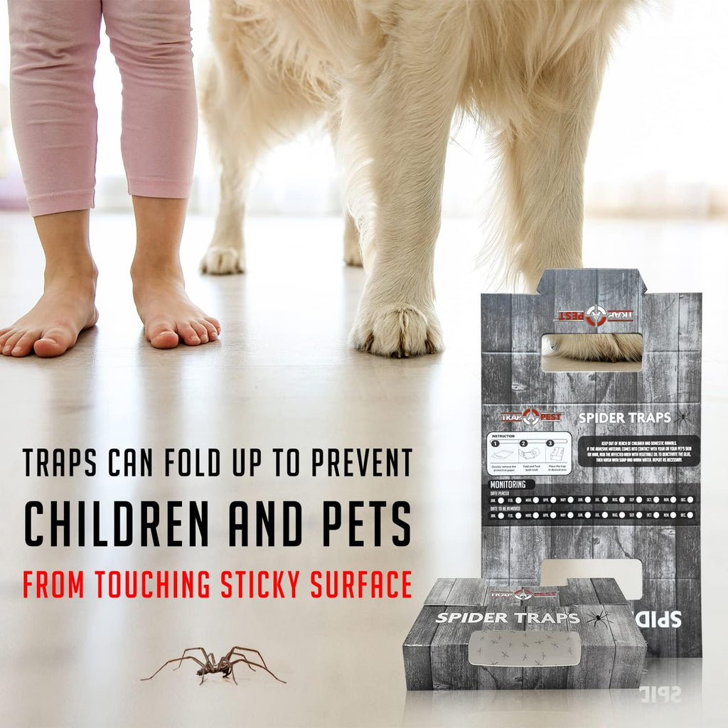 Spider Traps For Inside Your Home (16 Traps) - Spider Catcher Insect Traps Indoor - Spider Traps Indoor Bug Traps Sticky Traps For Spiders - Pre Baited Ultra Sticky Insect Glue Traps - Trap A Pest