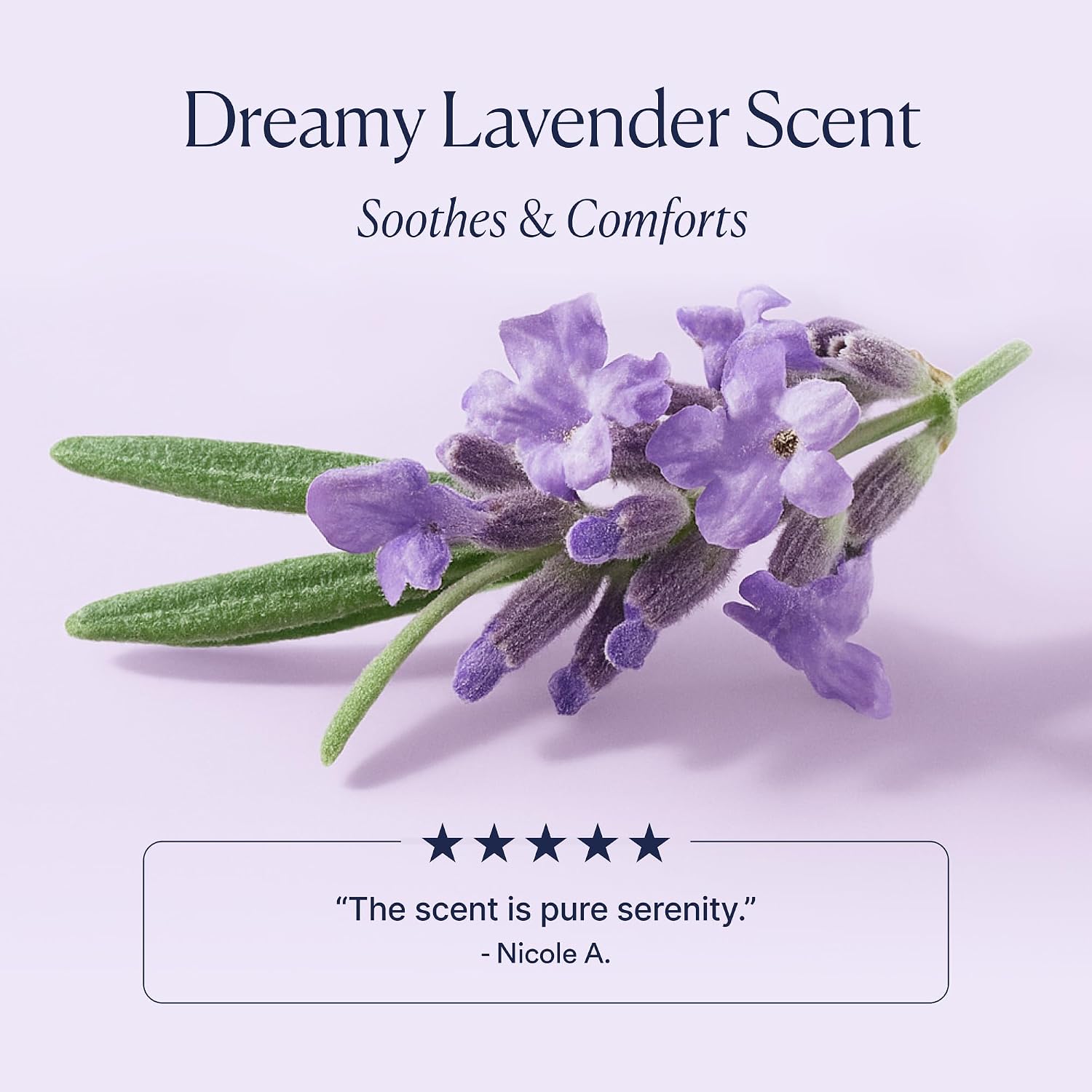 Osea Dream Bio-Retinol Body Serum - Nighttime Body Serum, Anti-Aging, & Visibly Firming, Plant-Based Retinol, Non-Greasy Hydration, Vegan & Cruelty-Free Seaweed Skincare