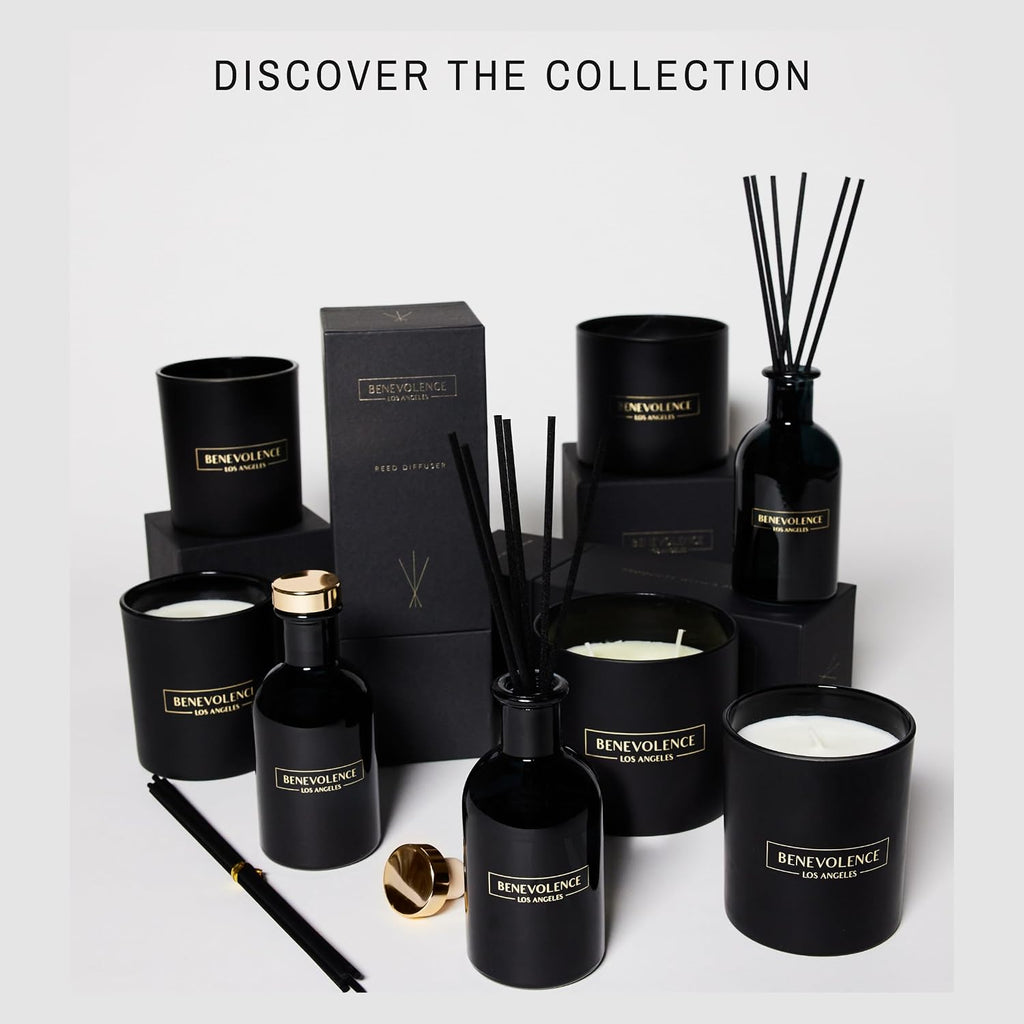 Benevolence La Premium Lavender & Eucalyptus Reed Diffuser Set – Essential Oil Diffuser For Home & Bathroom – Up To 120-Day Fragrance With Rattan Sticks & Gift Box – Charcoal Glass Room Décor