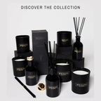 Benevolence La Premium Lavender & Eucalyptus Reed Diffuser Set – Essential Oil Diffuser For Home & Bathroom – Up To 120-Day Fragrance With Rattan Sticks & Gift Box – Charcoal Glass Room Décor