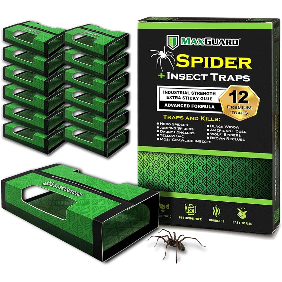 Maxguard Spider + Insect Traps (12 Pcs Box Trap) | Non-Toxic Extra Sticky Glue Traps, Kill Black Widow Hobo Brown Recluse Spiders And Other Crawling Bugs & Insects |