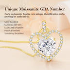 2CT Moissanite Heart Necklace for Women Wife in Gift Box,S925 Sterling Silver Jewelry for Women,Anniversary Birthday Present for Wife Her Girlfriend,18K Gold/White Gold Filled