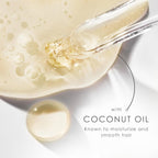 Dove Conditioner Coconut & Hydration For Dry Hair With Bio-Protein Care Technology And Coconut Oil 28 Fl Oz