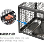 2-Pack Rat Traps Humane Live Mouse Vole Chipmunk Trap Cage For Indoors And Outdoors (Black)